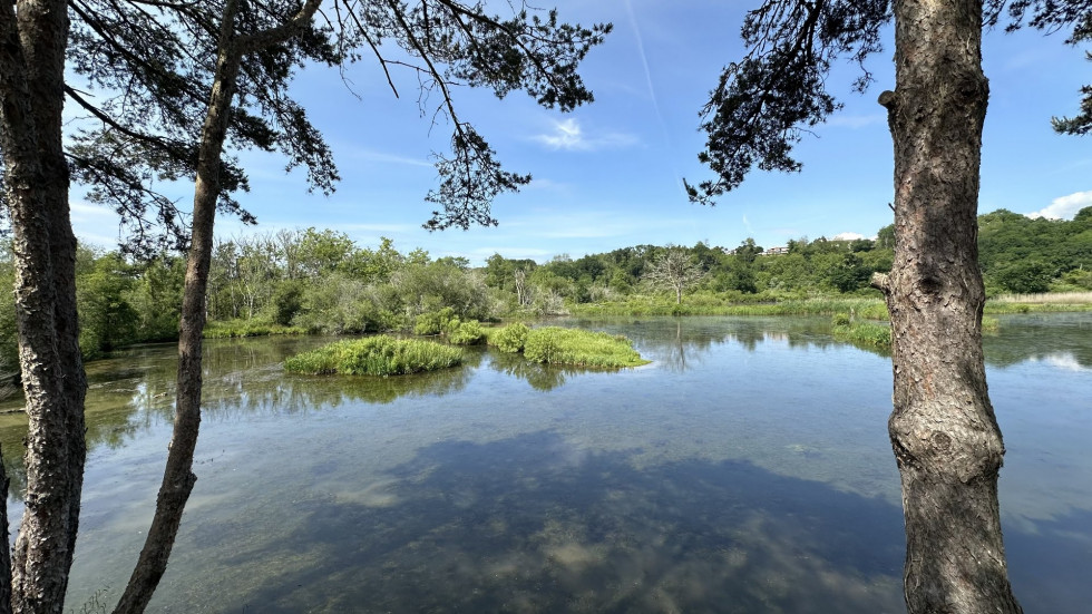 vente Maison de caractère Bayonne - Photo 4