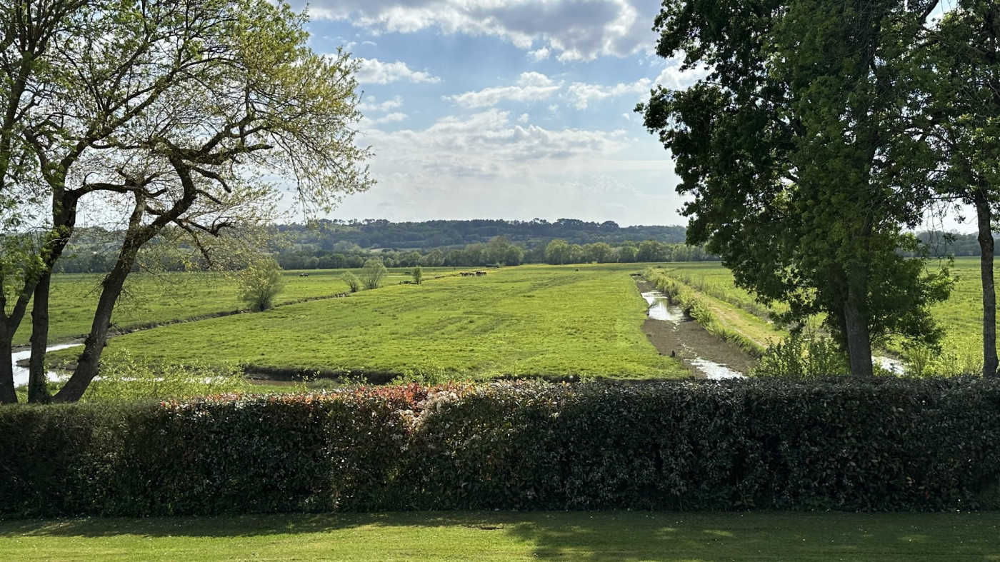 vente Villa d'architecte Dax - Photo 14