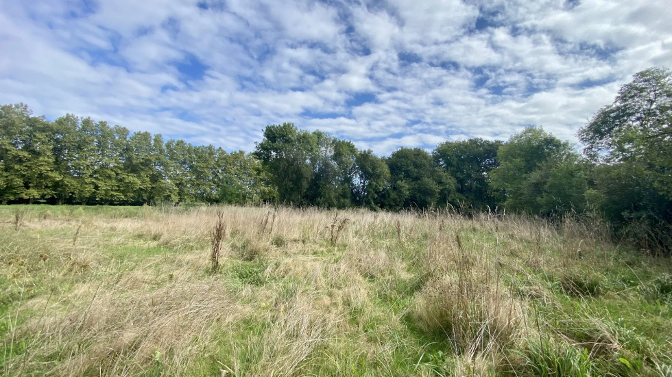 vente Terrain Saint Jean De Marsacq - Photo 4