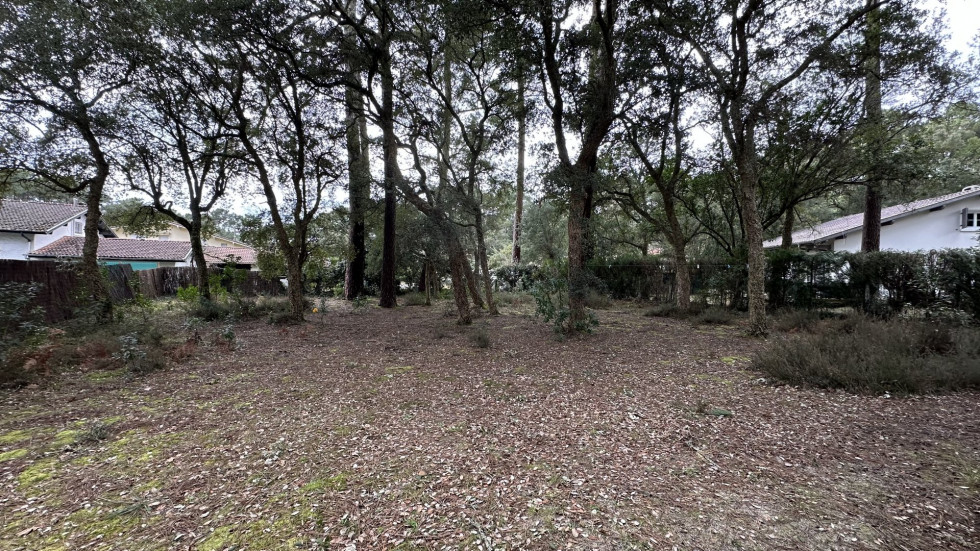 vente Maison Soorts Hossegor - Photo 5