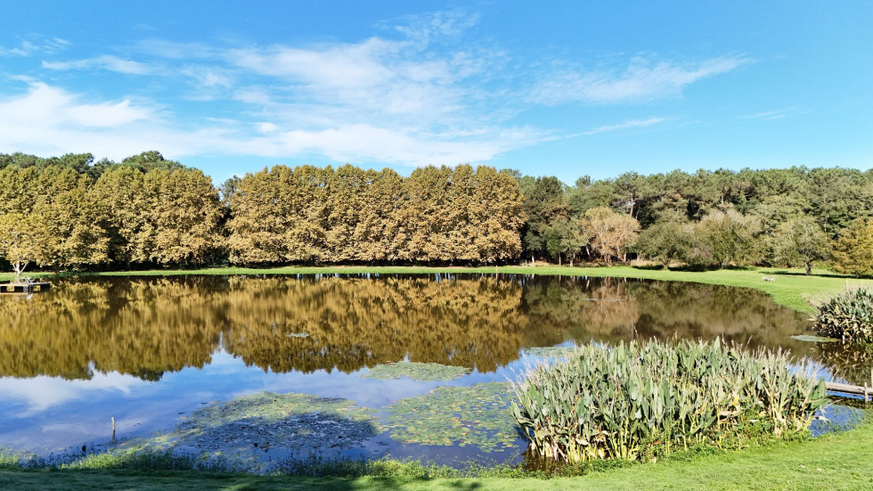 vente Propriété Soorts Hossegor - Photo 5