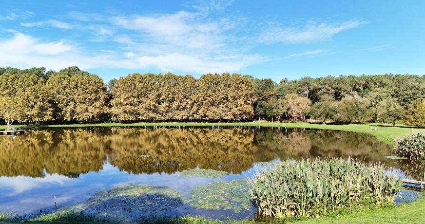 vente Propriété Soorts Hossegor