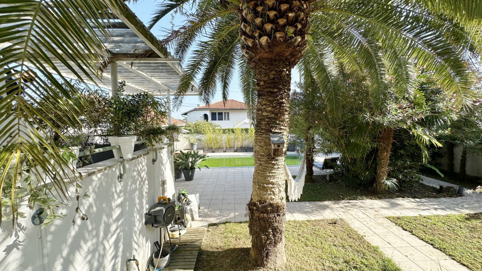 vente Maison bourgeoise Dax - Photo 3