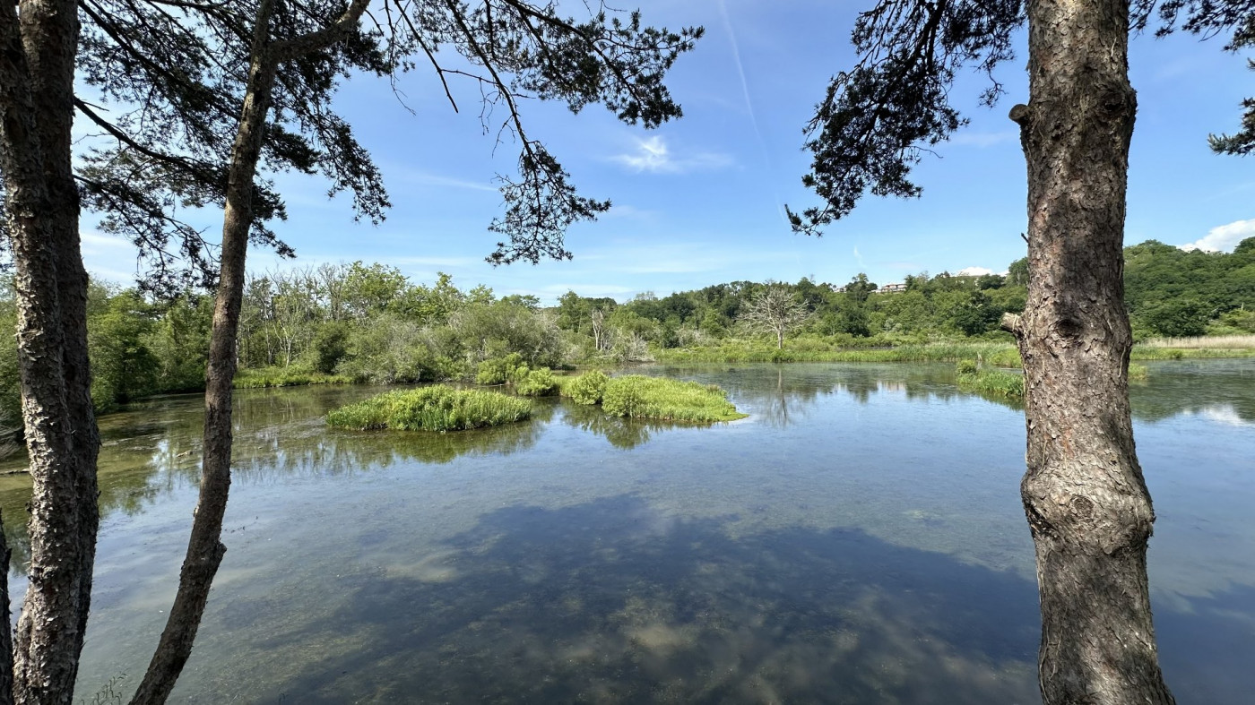 vente Maison de caractère Bayonne - Photo 4