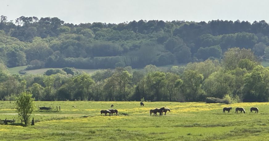 vente Villa d'architecte Dax