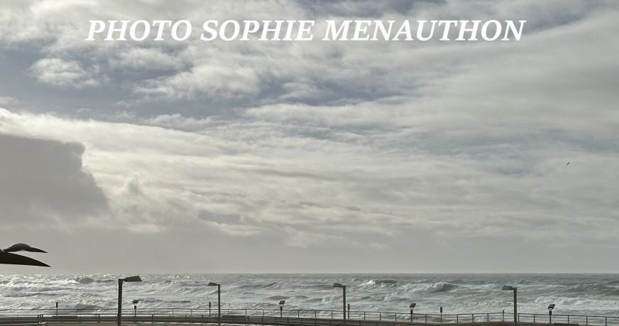 vente Appartement terrasse Capbreton