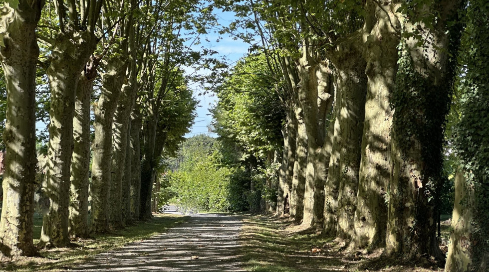 vente Maison bourgeoise Dax - Photo 4