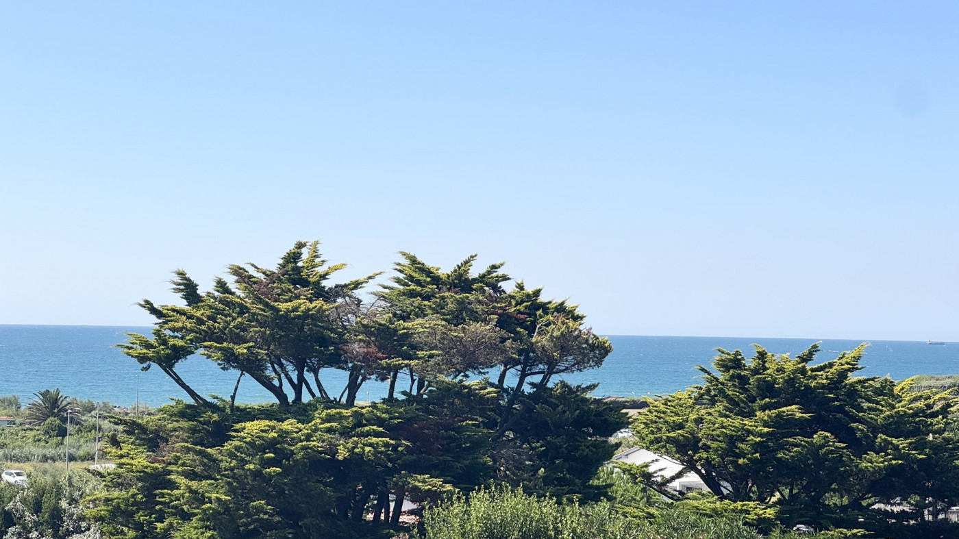 à vendre Maison contemporaine Anglet - Photo 17