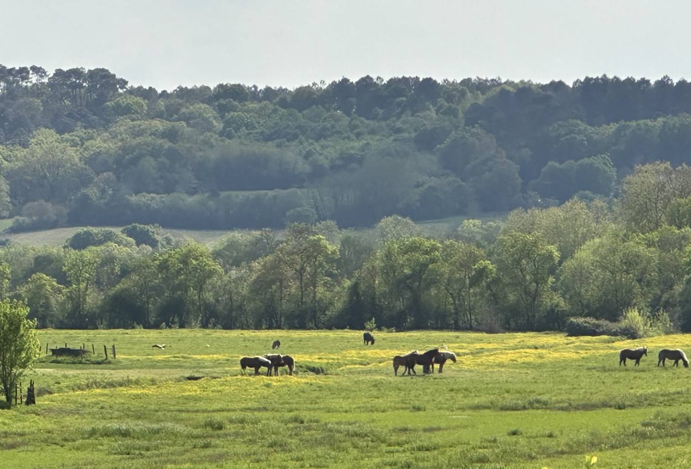 vente Villa d'architecte Dax - Photo 3