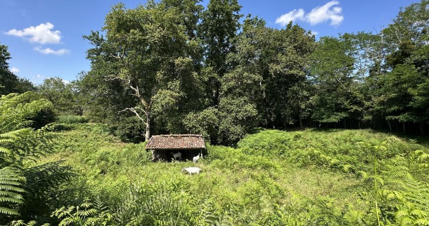 vente Villa d'architecte Dax