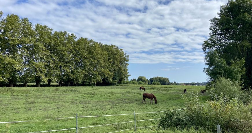 vente Terrain Saint Jean De Marsacq