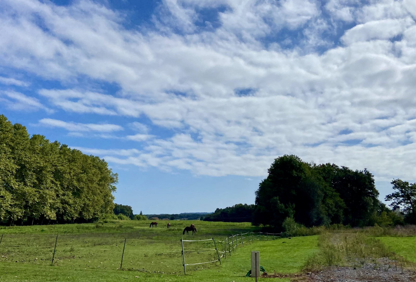 vente Terrain Saint Jean De Marsacq - Photo 3