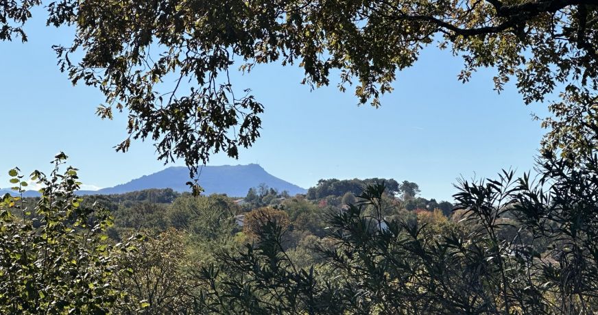 à vendre Villa d'architecte Bassussarry