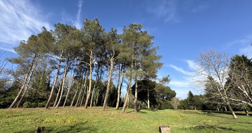 à vendre Maison et dépendances Pontonx Sur L'adour