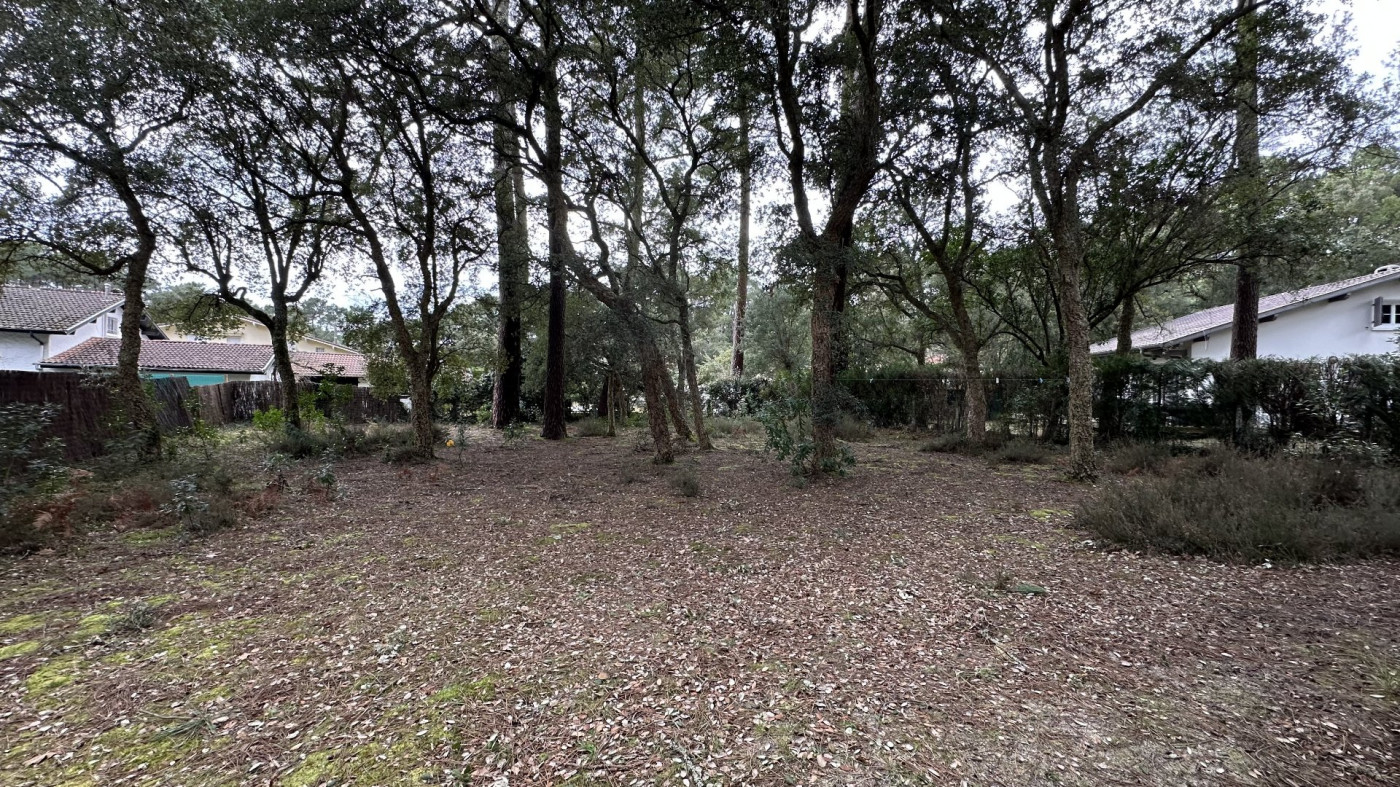 à vendre Maison Hossegor - Photo 5