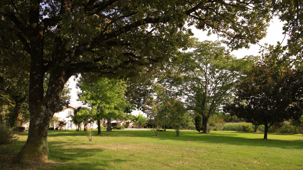 vente Fermette Dax - Photo 4