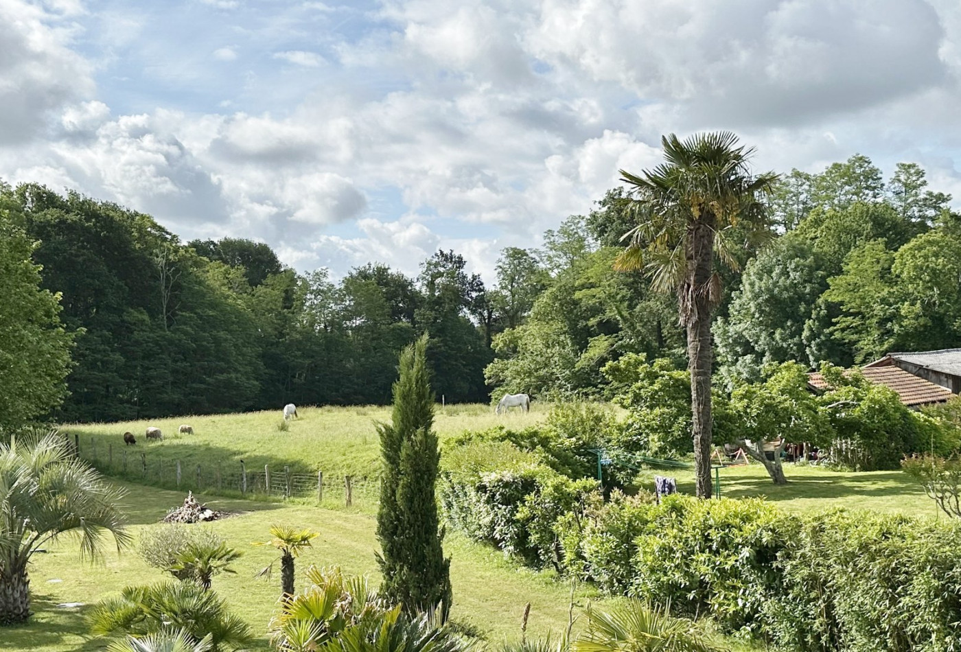 vente Maison de caractère Saubrigues - Photo 5