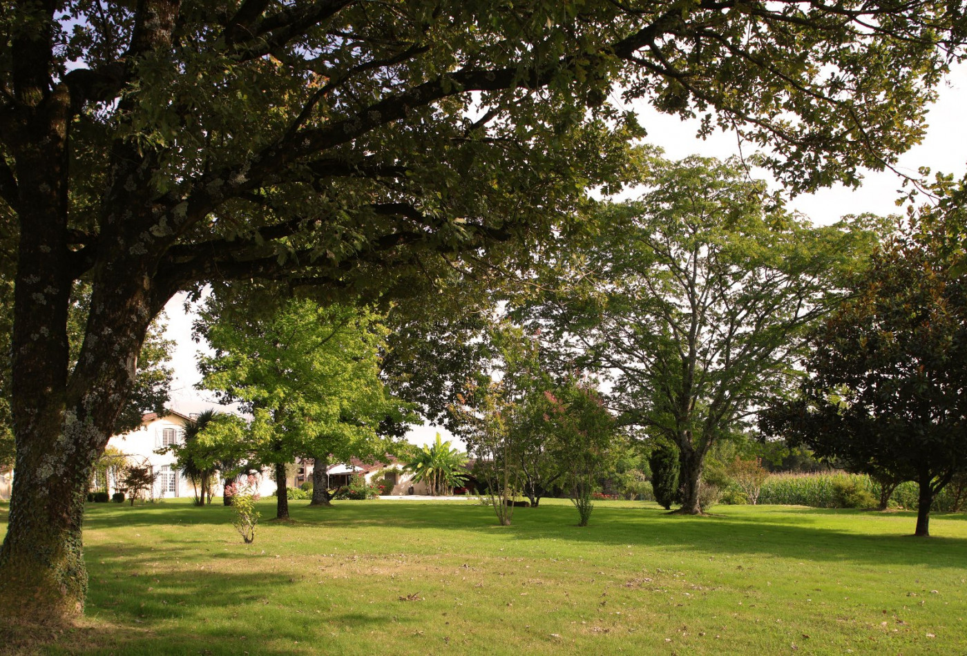 vente Fermette Dax - Photo 4