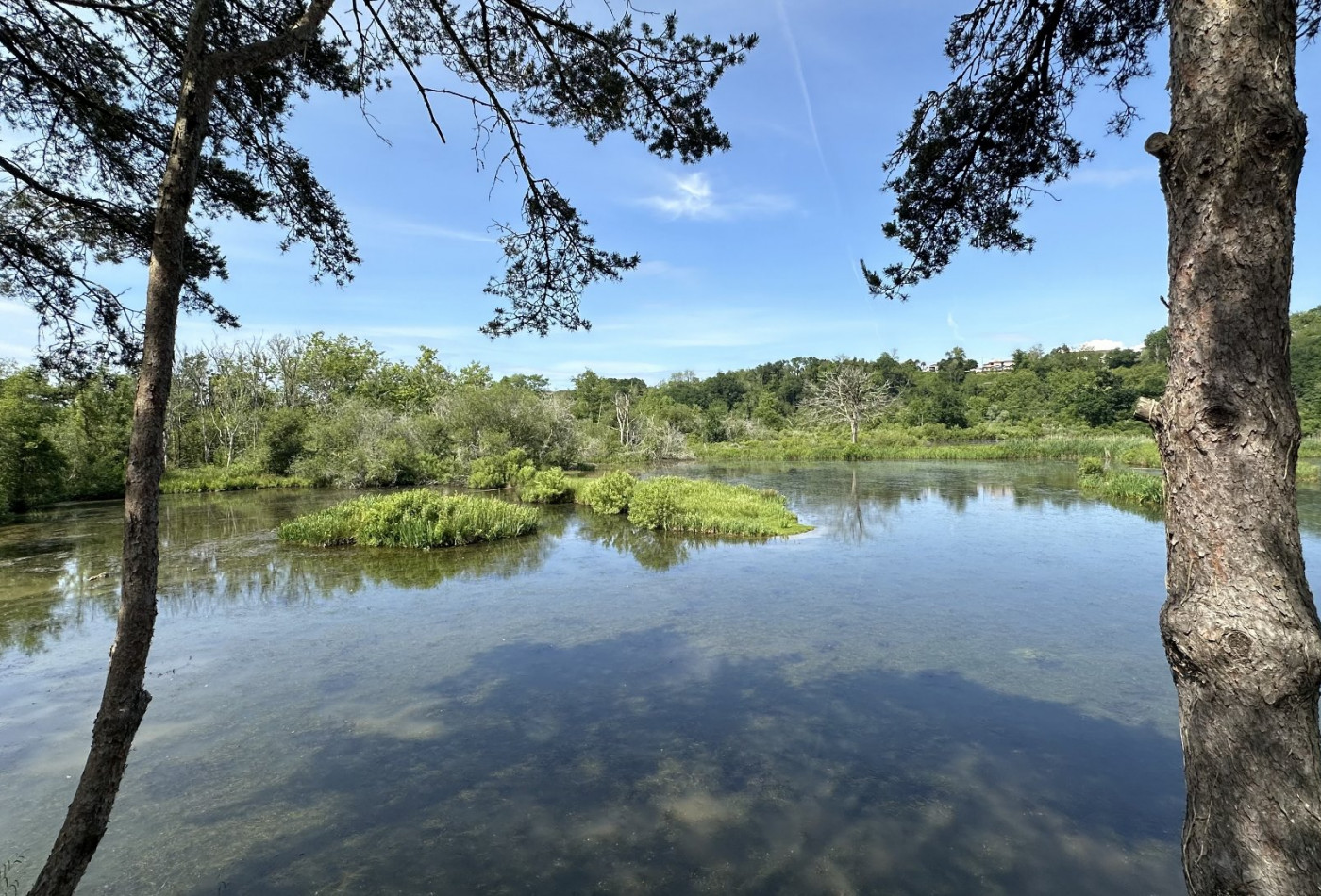 vente Maison de caractère Bayonne - Photo 4