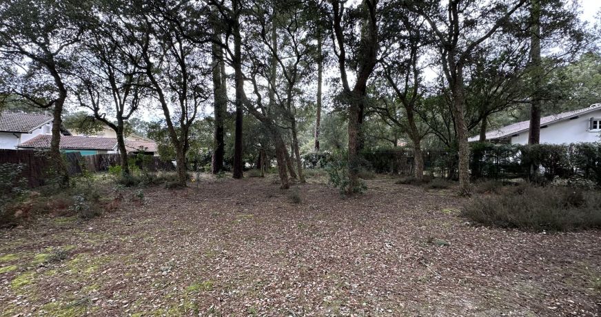 vente Maison Soorts Hossegor