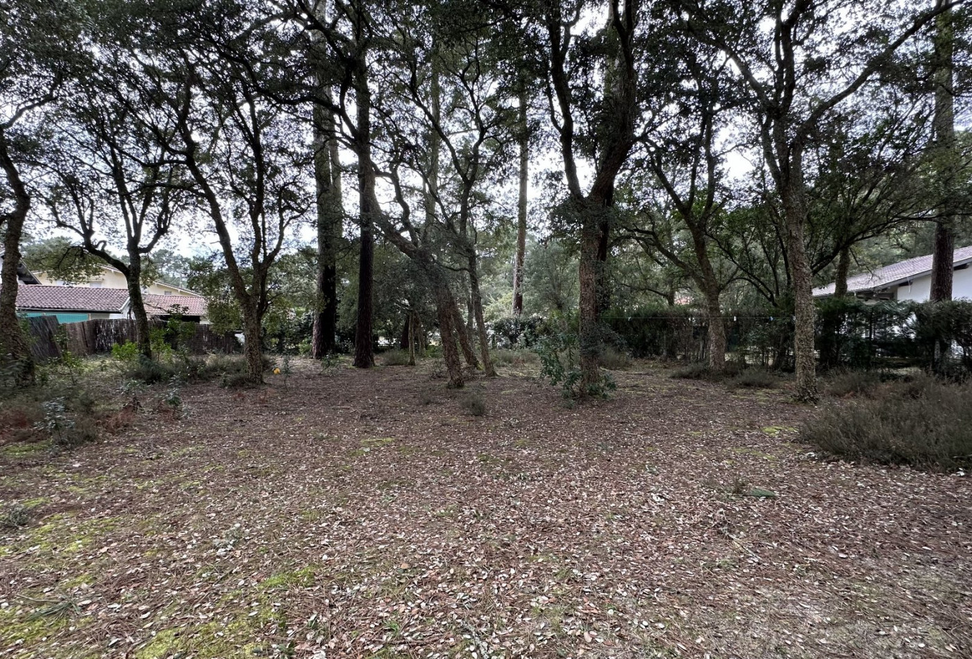 vente Maison Soorts Hossegor - Photo 5