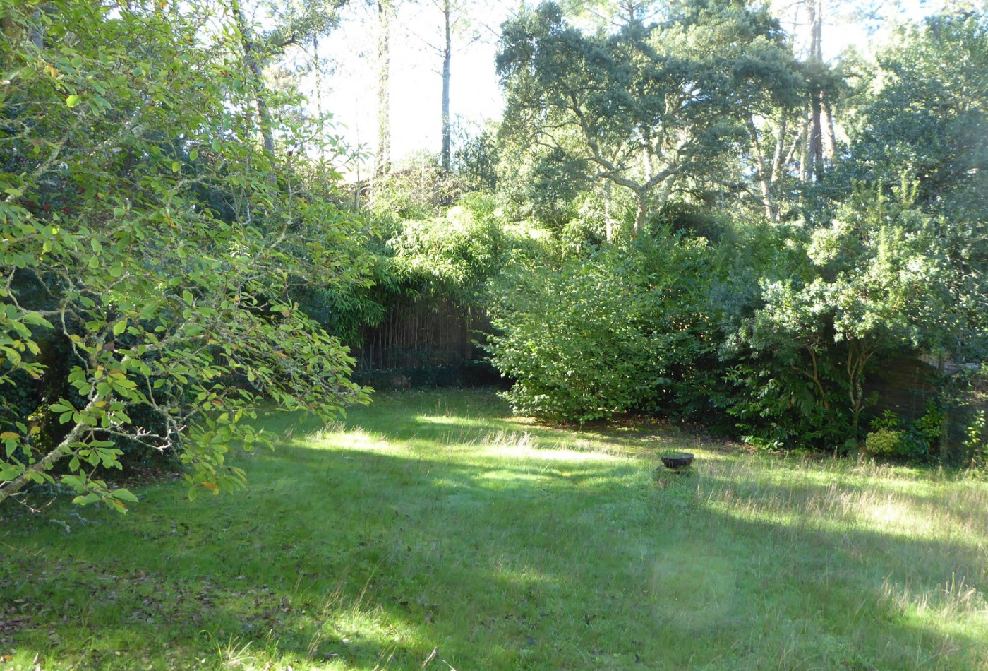 vente Maison contemporaine Soorts Hossegor - Photo 7