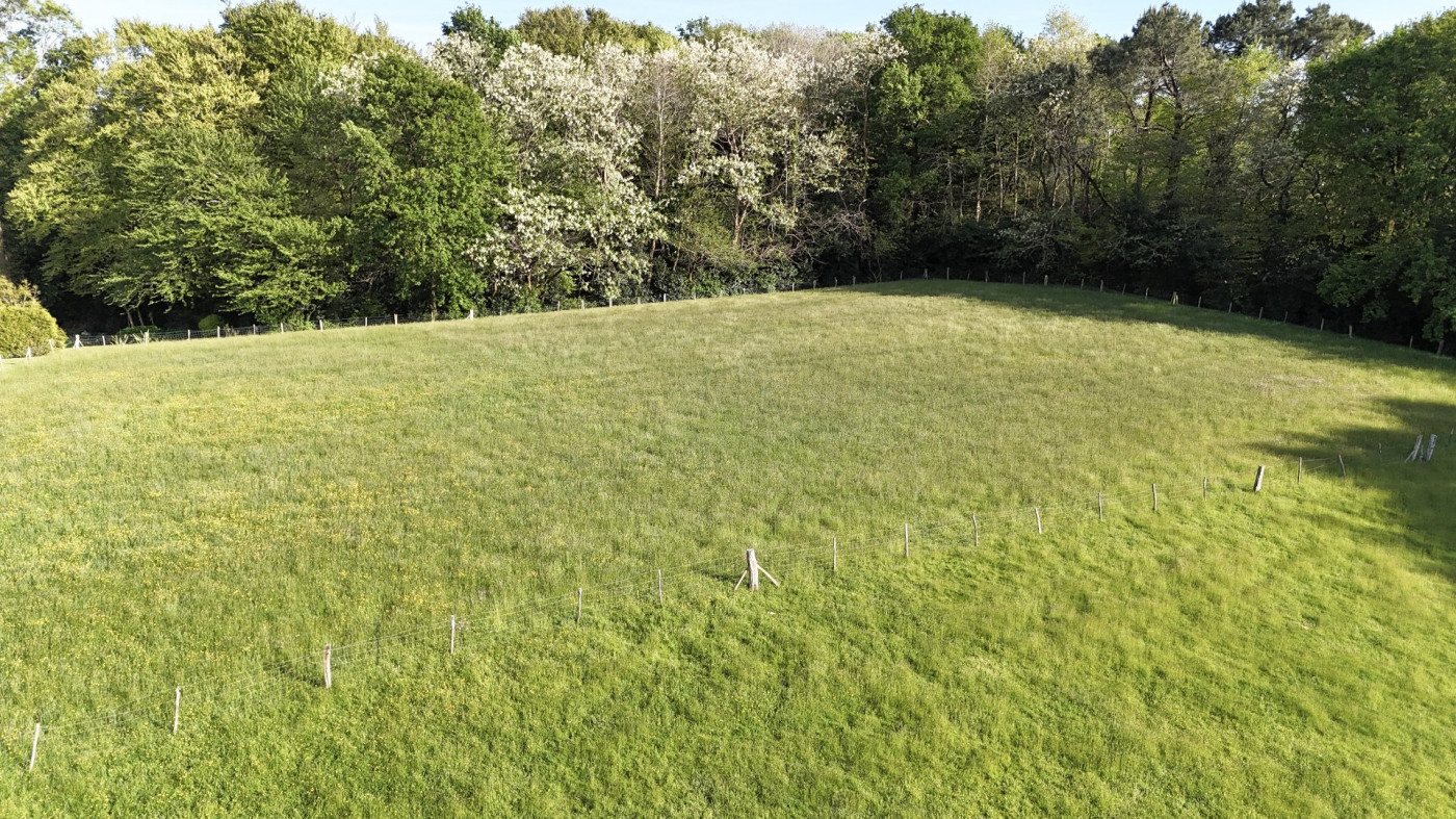 à vendre Propriété Saint Martin De Seignanx - Photo 19