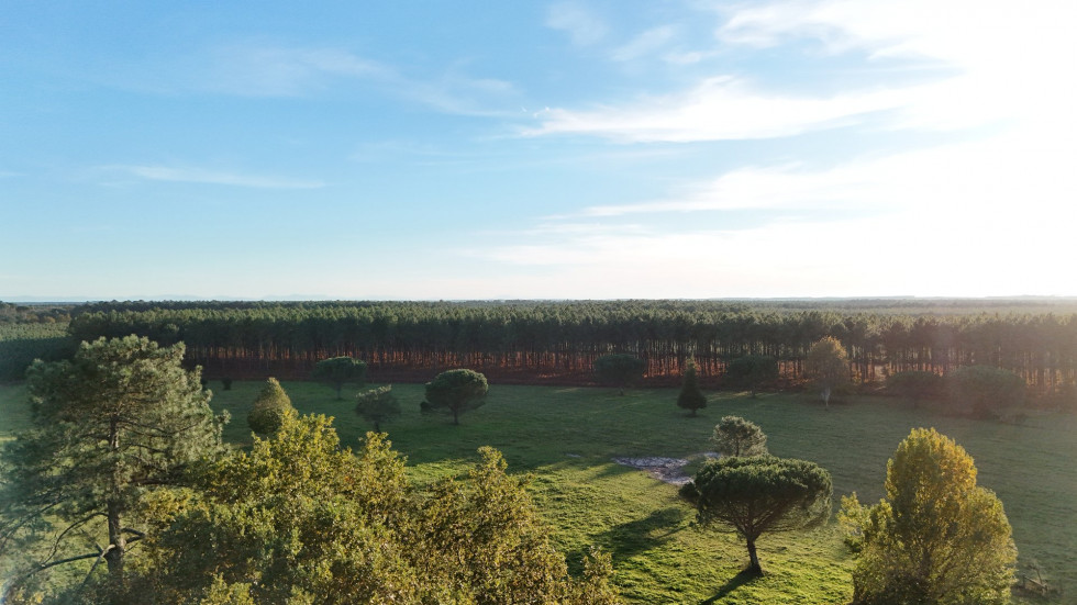 vente Maison de campagne Saint Girons Plage - Photo 6