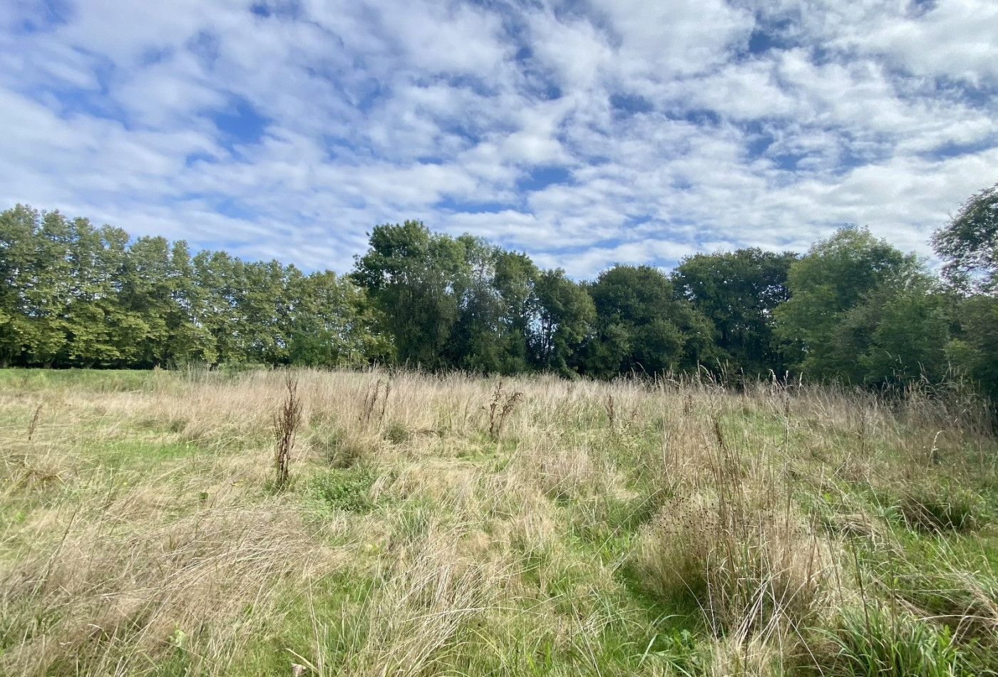 vente Terrain Saint Jean De Marsacq - Photo 4