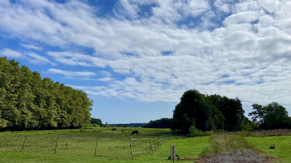 vente Terrain Saint Jean De Marsacq - Photo 3