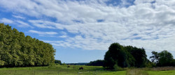 vente Terrain Saint Jean De Marsacq