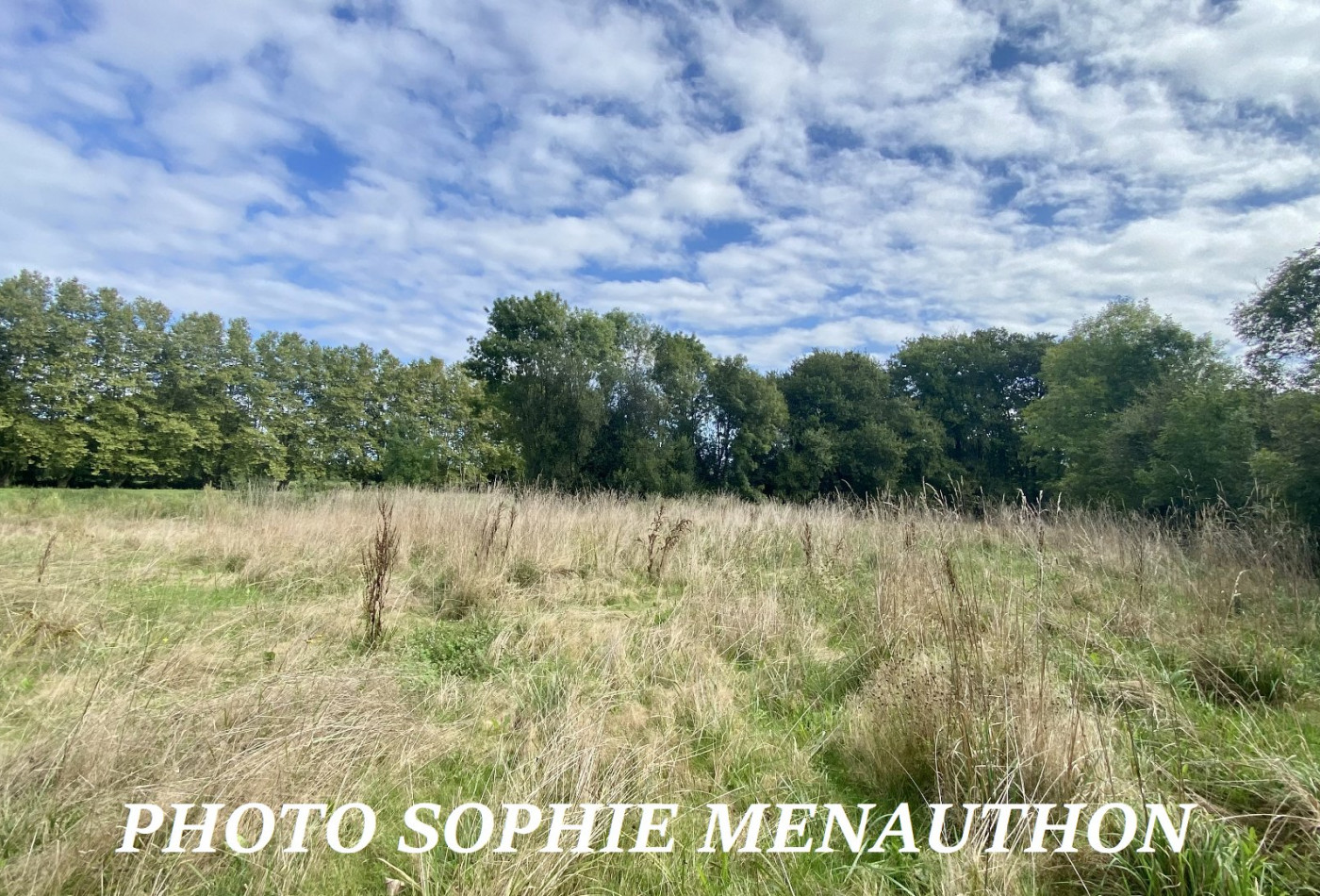 vente Terrain Saint Jean De Marsacq - Photo 5