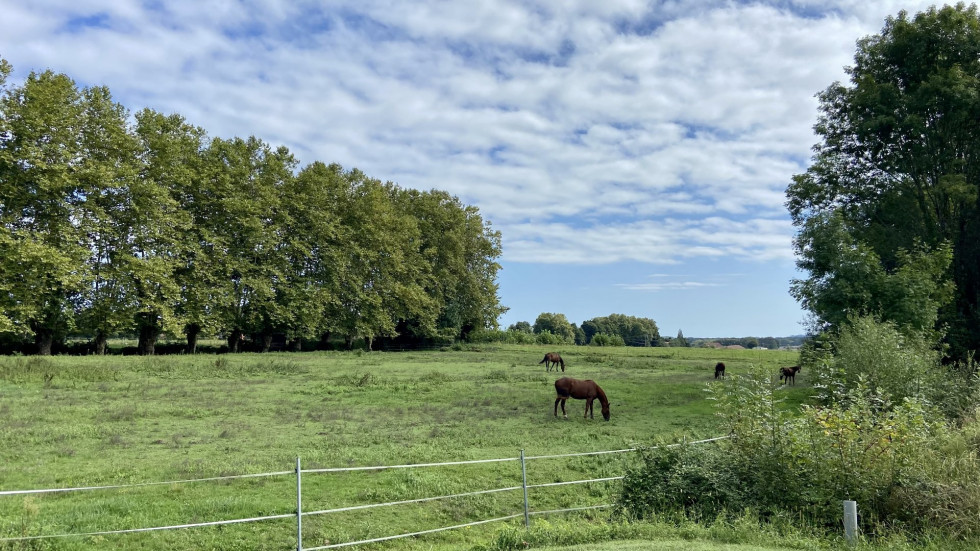 vente Terrain Saint Jean De Marsacq - Photo 2