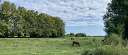 vente Terrain Saint Jean De Marsacq