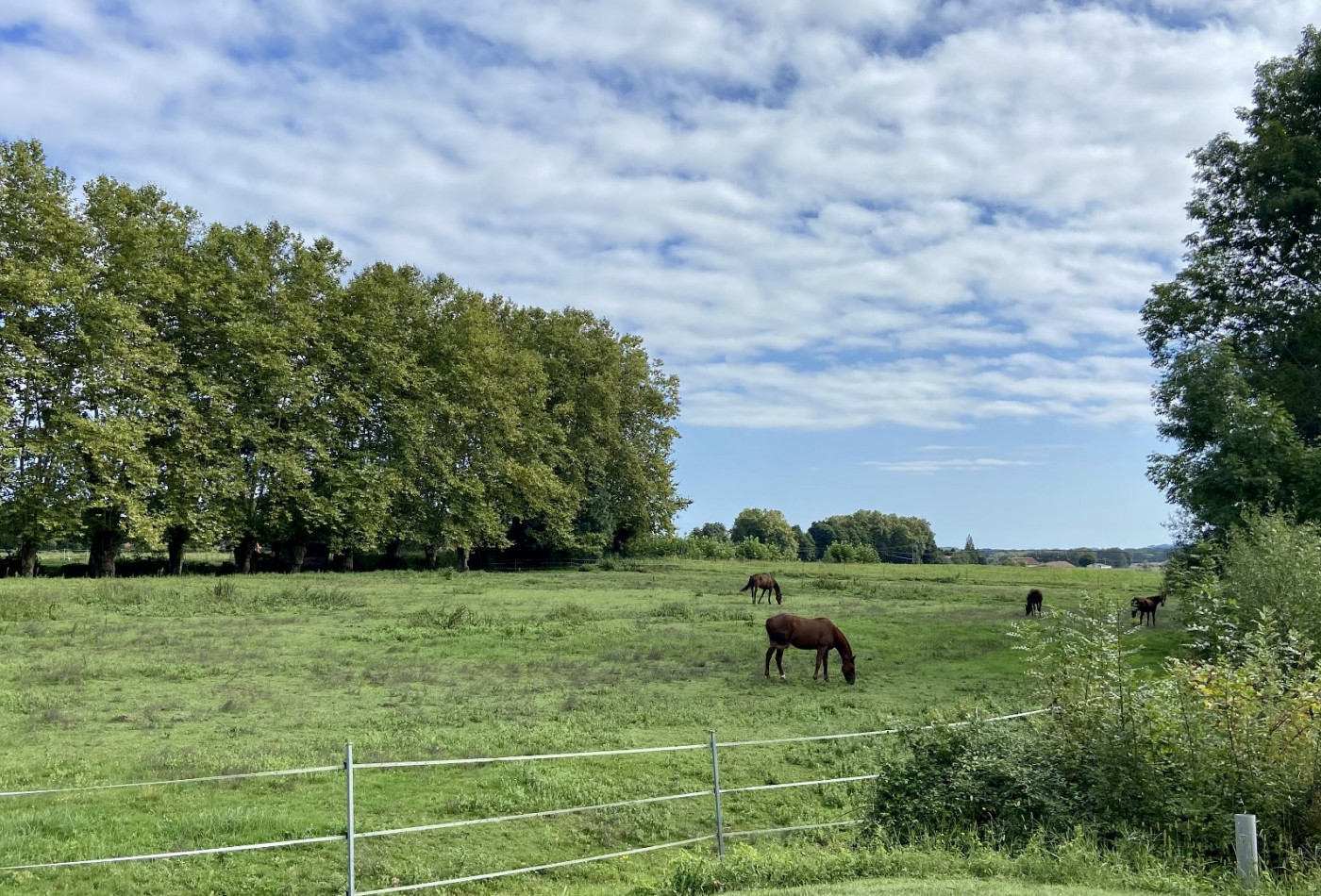 vente Terrain Saint Jean De Marsacq - Photo 2