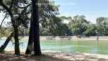 vente Appartement en rez de jardin Soorts Hossegor