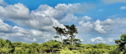 vente Villa Soorts Hossegor