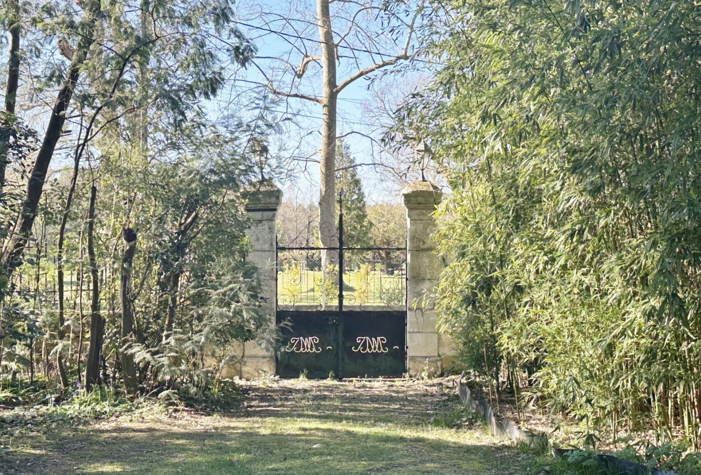 vente Maison de maître Saint Julien En Born - Photo 5