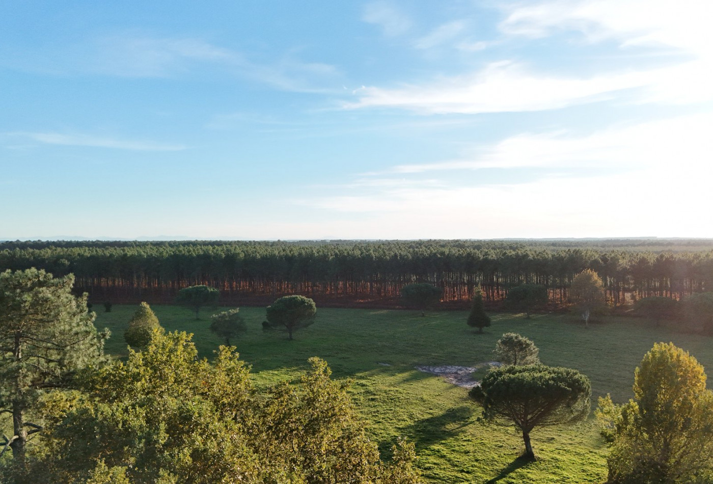 vente Maison de campagne Saint Girons Plage - Photo 6