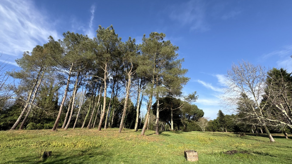 vente Maison et dépendances Dax - Photo 6