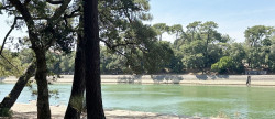 vente Appartement en rez de jardin Soorts Hossegor