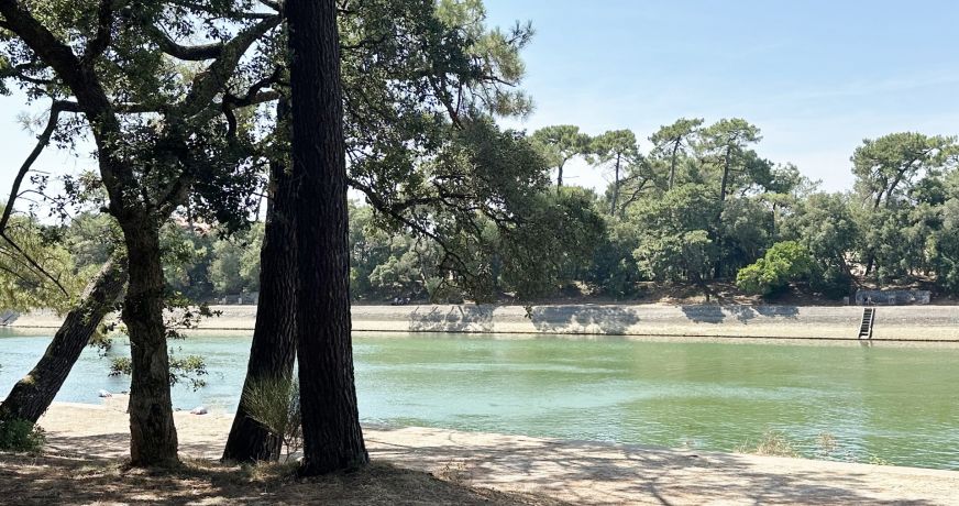 vente Appartement en rez de jardin Soorts Hossegor