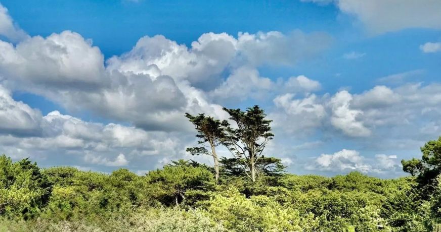 vente Villa Soorts Hossegor