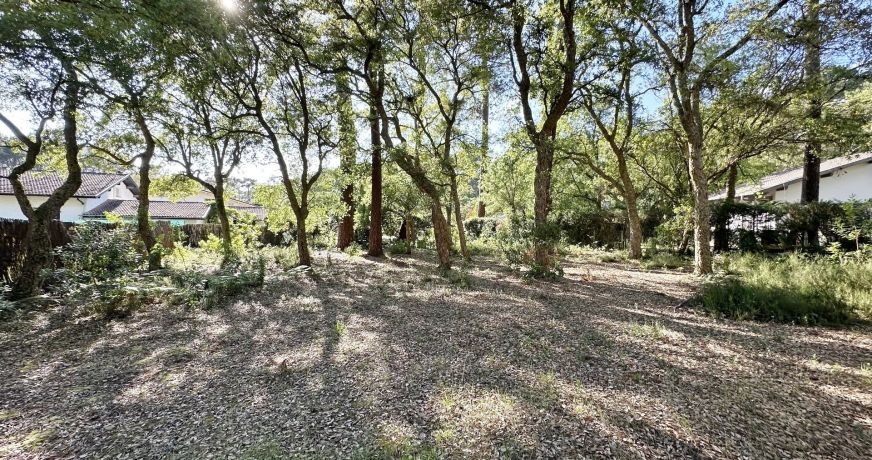 vente Maison Soorts Hossegor