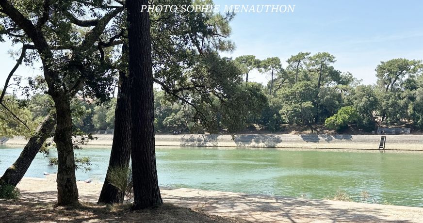 vente Appartement en rez de jardin Soorts Hossegor