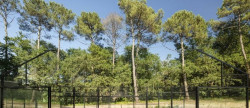 vente Propriété Soorts Hossegor