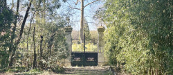 vente Maison de maître Saint Julien En Born