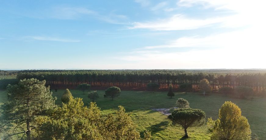 vente Maison de campagne Linxe