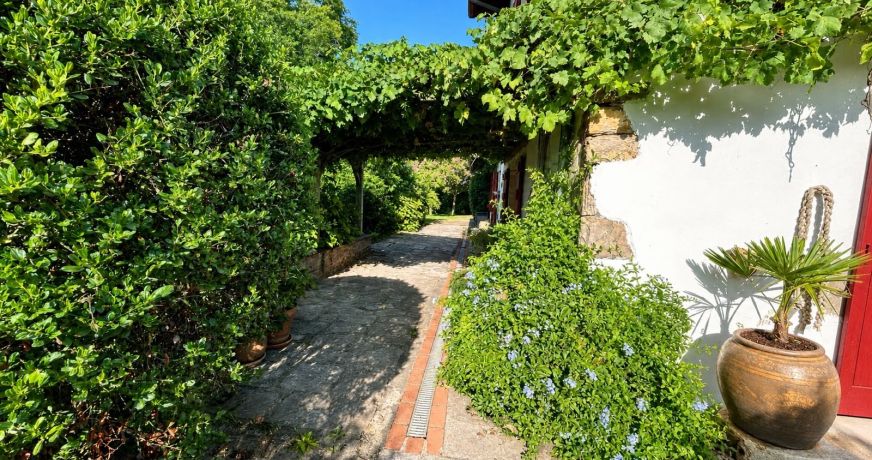 vente Maison de campagne Urt