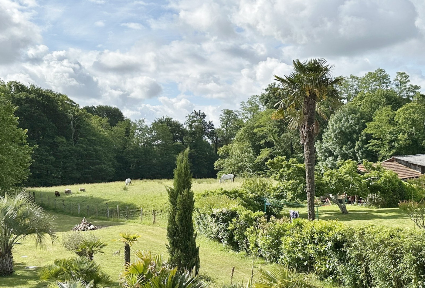 vente Maison de caractère Saubrigues - Photo 5